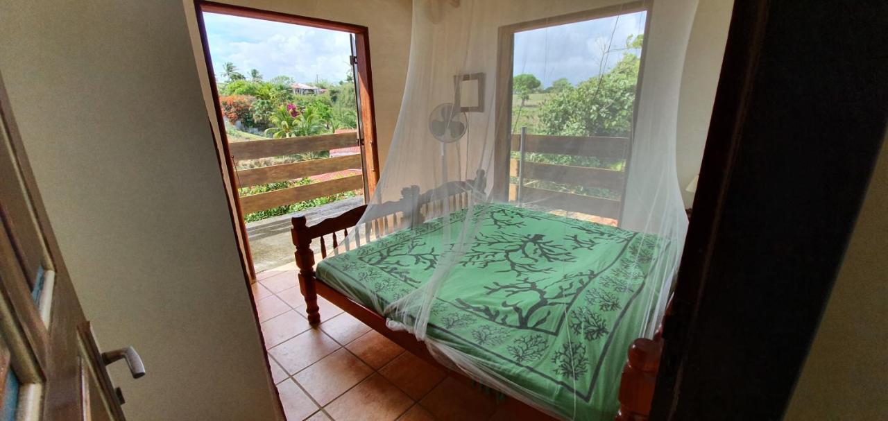 Wild Paradise: Villa Vue Mer Piscine A Debordement Le Moule Bagian luar foto
